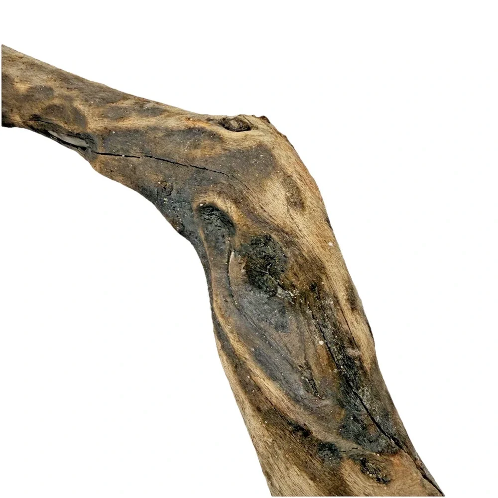 Bent California Driftwood with Burnt Patina & Natural Bend – Sculptural Wood